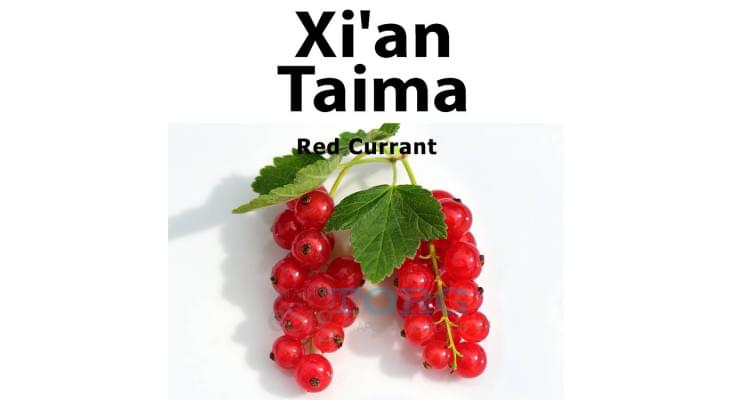 Изображение Ароматизатор Xi'an Taima Red Currant Ароматизатор Xi'an Taima Red Currant